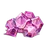 680+70 Jewels